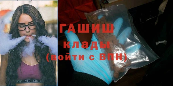 индика Горнозаводск