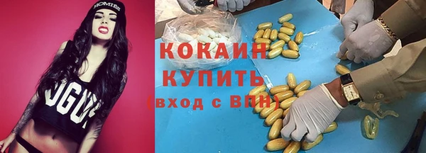 прущие грибы Горно-Алтайск