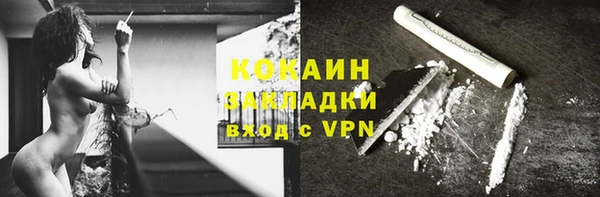прущие грибы Горно-Алтайск