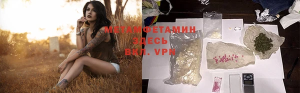 прущие грибы Горно-Алтайск