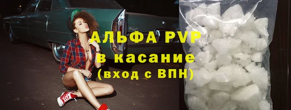 индика Горнозаводск