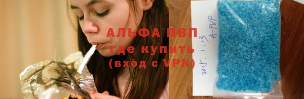 индика Горнозаводск