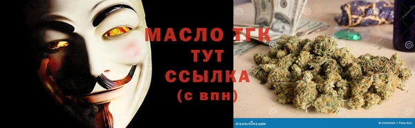 прущие грибы Горно-Алтайск