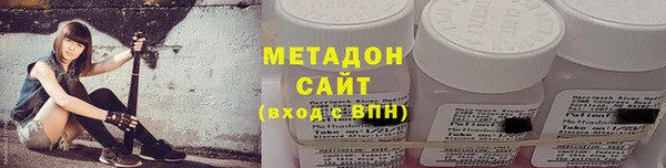 прущие грибы Горно-Алтайск