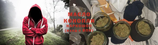 индика Горнозаводск
