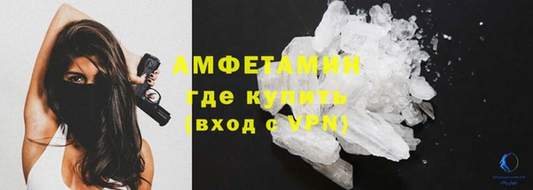 индика Горнозаводск