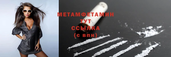 прущие грибы Горно-Алтайск
