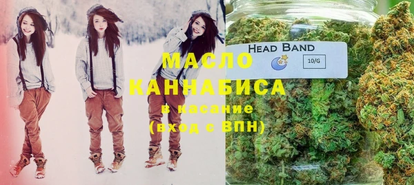 индика Горнозаводск