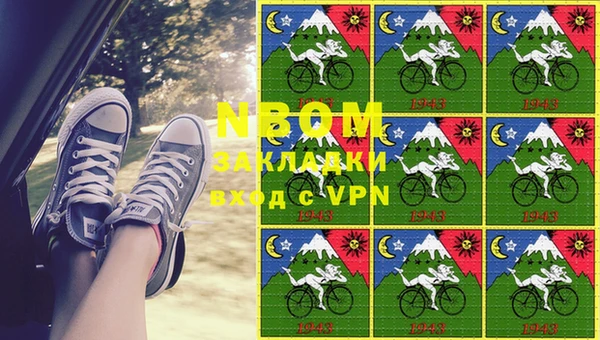 индика Горнозаводск