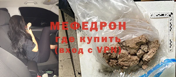 индика Горнозаводск