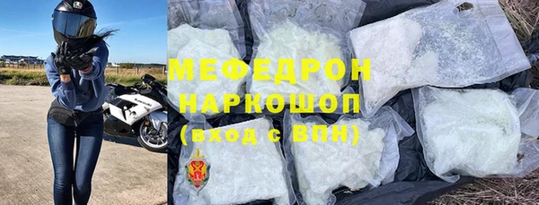 индика Горнозаводск
