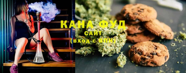 индика Горнозаводск