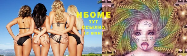 индика Горнозаводск