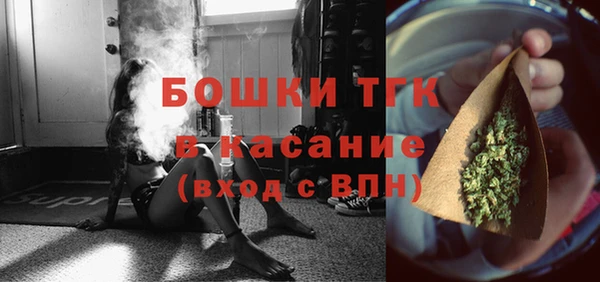прущие грибы Горно-Алтайск