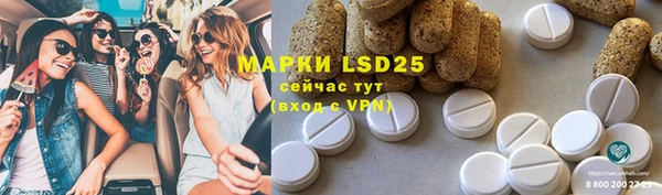 прущие грибы Горно-Алтайск