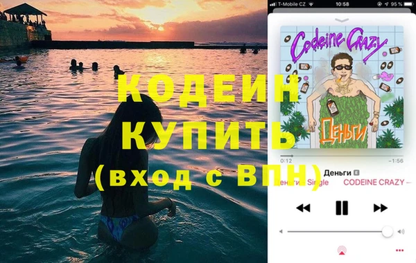 индика Горнозаводск